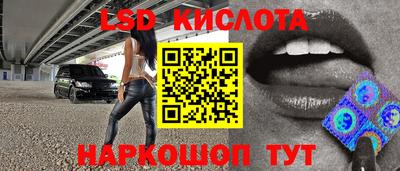 прущие грибы Кингисепп