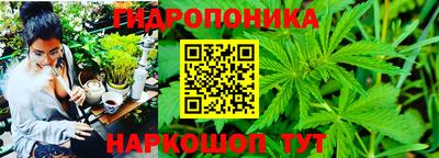 прущие грибы Кингисепп
