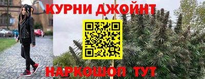гидра Кимры