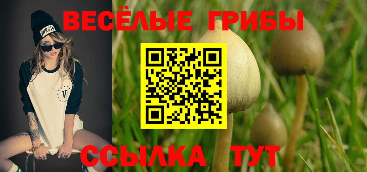 Галлюциногенные грибы MAGIC MUSHROOMS Кириши