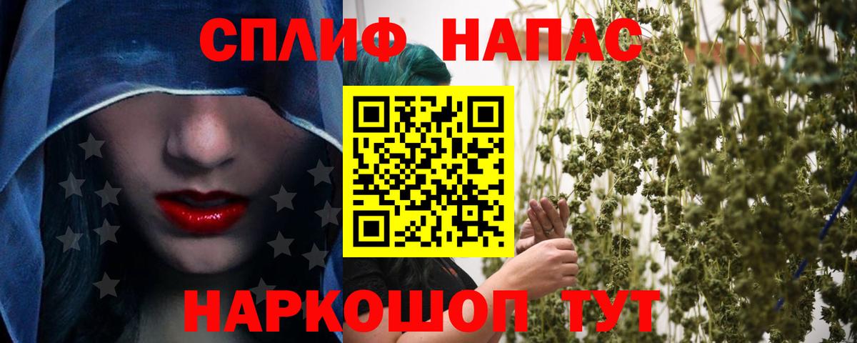 Конопля Amnesia  МАРИХУАНА ГИДРОПОН  Вход с VPN  Кириши  Конопля семена 